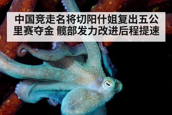 中国竞走名将切阳什姐复出五公里赛夺金 髋部发力改进后程提速