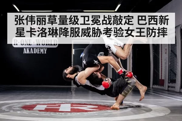 MMA wrestling defense